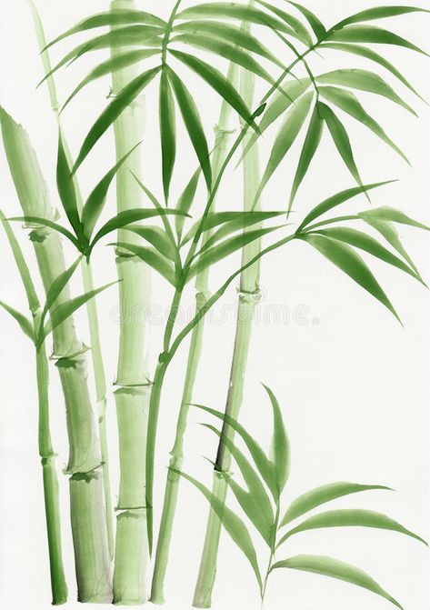 Watercolor painting of palm bamboo. Original watercolor painting of palm bamboo royalty free stock image Bamboo Drawing, Bamboo Art, Leaf Images, Bamboo Tree, Plant Painting, Music Files, Watercolor Leaves, Water Painting, Plant Art