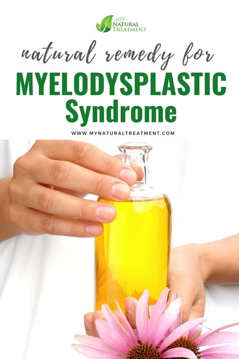 Natural Remedy for Myelodysplastic Syndrome with Echinacea #MyelodysplasticSyndrome #bloodconditions #naturalremedy Myelodysplastic Syndrome, Echinacea Purpurea, Circulatory System, Cardiovascular System, Natural Remedy, Blood Cells, Natural Herbs, Daily Diet, Natural Treatments