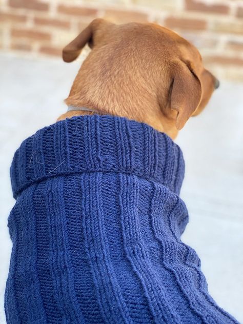 Knit Small Dog Sweater Pattern Free Easy, Large Dog Knitted Sweater Pattern, Easy Dog Sweater Knitting Pattern, Knitted Dog Sweater Patterns, Flat Knit Dog Sweater Pattern Free, Knit Dog Sweater Pattern Free Easy, Free Dog Sweater Knitting Patterns, Dog Sweater Knitting Patterns, Dog Jumper Knitting Pattern