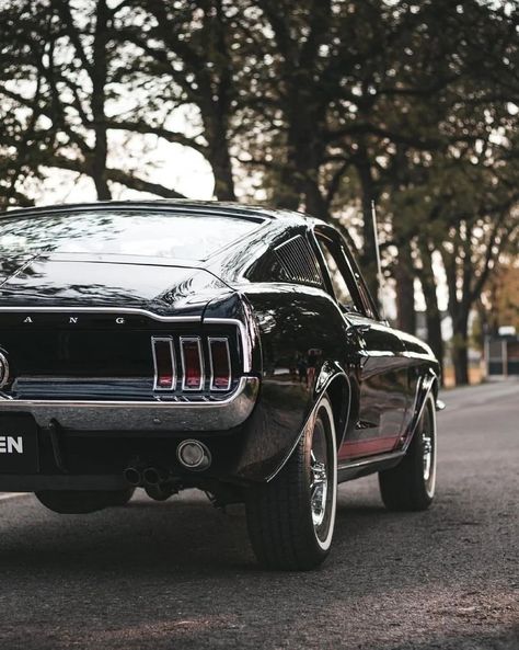 67 Mustang Fastback, Mustang 67, 1967 Ford Mustang Fastback, 67 Mustang, 1967 Ford Mustang, Adventure Car, Ford Mustang Boss, Ford Mustang Fastback, Luxurious Cars