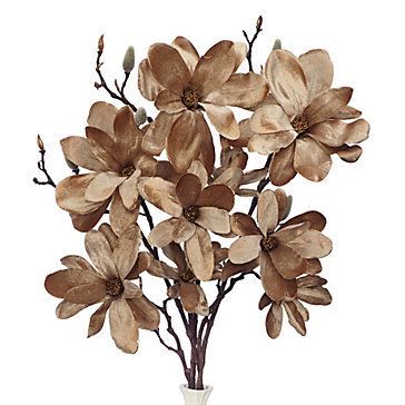 Velvet Magnolia - Set of 3 Flowers Vase Ideas, Spring Branches, Bathroom Flowers, Branch Centerpieces, Paper Succulents, Tree Stem, Backgrounds Flowers, Vase Ideas, Scale Art