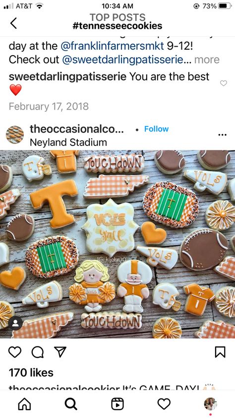 Tn Vols Birthday Party, Tennessee Birthday Party, Tn Vols, First Birthday Party, First Birthday, Birthday Ideas, Tennessee, First Birthdays, 1st Birthday