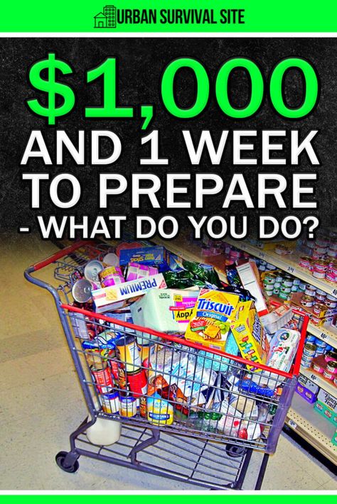 If you had $1000 and one week to prepare for an emergency, what would you do? This guide will tell you what to buy and how to prepare. Prepare For Recession, Kids Survival Skills, Emergency Preparedness Food Storage, Emergency Preparedness Food, Shtf Preparedness, Thought Experiment, Emergency Preparation, Survival Life Hacks, Emergency Plan