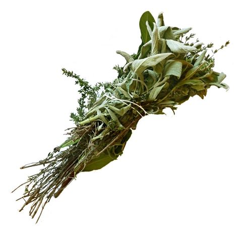 Do you know your bouquet garni from your herbes de Provence? Bay Leaf Plant, Dried Sage, Burning Sage, How To Dry Sage, Sage Smudging, Bouquet Garni, Hair Dandruff, Herbs De Provence, Dried Bouquet