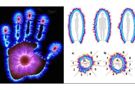 Aura Photography by Kirlian Camera helps to forecast the present and future health problems in the human body Reading Aura, Aura Camera, Know Your Self, Aura Chakras, Kirlian Photography, Left Brain Right Brain, Aura Photography, Energy Aura, Wellness Motivation