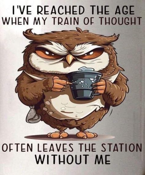 Owl Quotes, Have A Great Wednesday, Rhubarb Muffins, Good Afternoon Quotes, Funny Day Quotes, Afternoon Quotes, Good Morning Funny Pictures, Funny Cartoons Jokes, Funny Good Morning Quotes