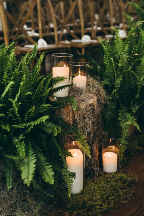 Lizzy & Nat | Wedding Foraged Greenery Wedding, Fall Fern Wedding, Woodland Wedding Ceremony Decor, Forest Wedding Center Piece, Woodland Green Wedding, Moss Greenery Wedding, Forest Ceremony Decor, Glam Forest Wedding, Ferns And Candles Wedding