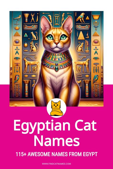 A list of awesome Egyptian Cat Names for your female or male cat. Check out these great Egyptian names and their meanings. Maat Goddess, Names And Their Meanings, Unique Cat Names, Egyptian Names, Funny Cat Names, Cute Cat Names, Male Cat, Egyptian Cat, Boy Cat