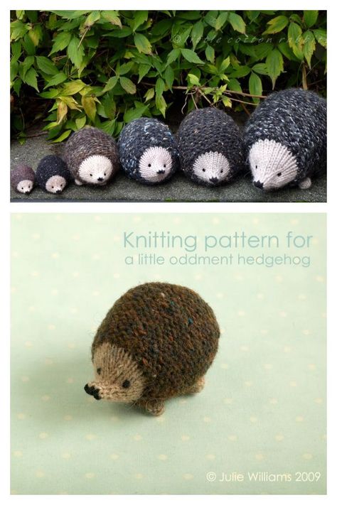 Little Hedgehog Toy Knitting Pattern Hedgehog Knitting Pattern, Hedgehog Knitting Pattern Free, Amigurumi Hedgehog, Cute And Cuddly, Free Knitting Patterns, Hedgehogs, Knitting Ideas, Knitting Patterns Free, Free Knitting