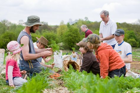 Community Supported Agriculture CSA Csa Farm, Community Supported Agriculture, Food System, Training Programs, Agriculture, Helping People, Benefits