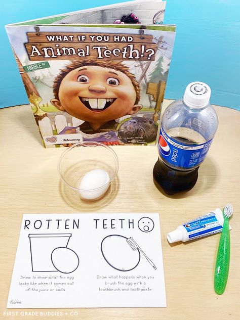 Teeth Experiments For Preschool, Dental Health Preschool Science, Dental Science Preschool, Teeth Stem Activities, Dental Health Activities 2nd Grade, Dental Month Activities, Dentist Art Projects For Preschool, If I Had Animal Teeth Craft, Teeth Science For Preschool