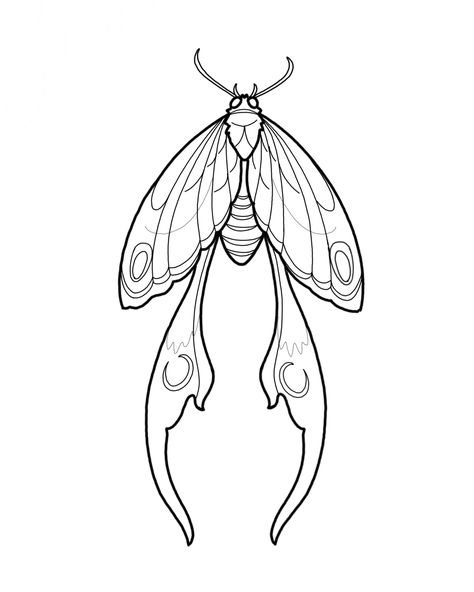 Moths Tattoo Design, Moth Henna Tattoo, Moth Tattoo Line Art, Line Art Stencil, Luna Moth Line Art, Lunar Moth Tattoo Design Simple, Luna Moth Drawing Simple, Cottagecore Line Art, Moth Line Tattoo