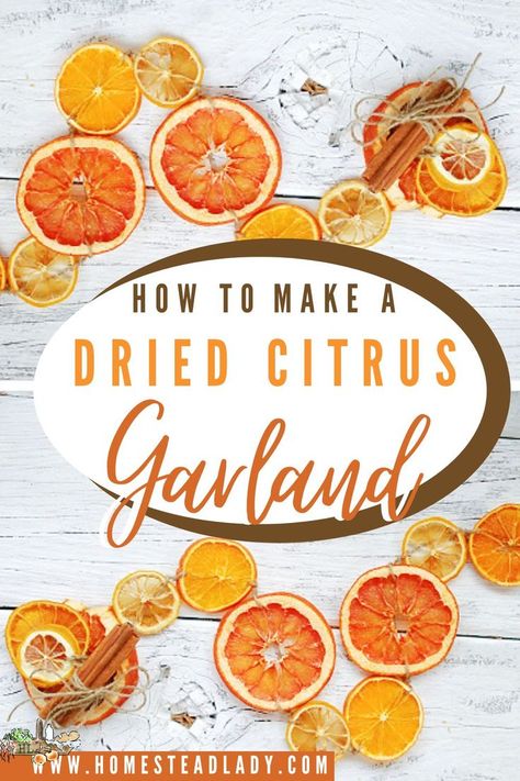 dried citrus slices in a garland Dehydrate Citrus, Dried Citrus Garland, Citrus Garland, Dehydrated Citrus, Dried Citrus, Citrus Slices, Garland Diy, Dried Lemon, Dehydrated Fruit