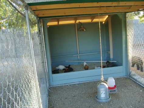 Desert Backyard, Raising Chicken, Diy Dog Kennel, Chicken Coop Run, Chicken Coop Designs, Hobby Farm, Chicken Runs, Backyard Chickens, Dog Runs