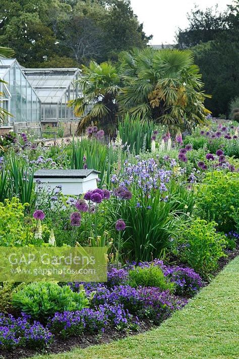 Iris Garden Landscaping, Iris Garden Ideas, Rice Image, Iris Sibirica, Vertical Garden Plants, Rose Garden Design, Landscaping Retaining Walls, Front Garden Design, Minimalist Garden