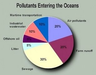 United Nations Environment Programme, Marine Pollution, Ocean Pollution, Water Pollution, Environmental Concerns, What Are We, Environmental Education, Oil Spill, Marine Environment