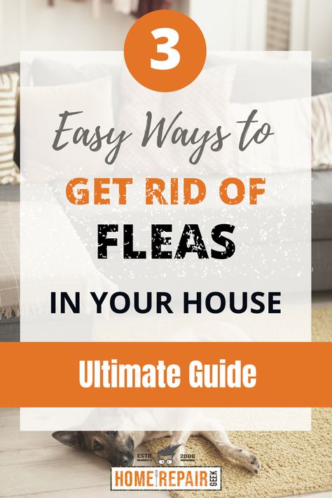 3 fleas remedies to get rid of fleas How To Get Of Fleas In House, Cat Fleas Get Rid Of, Flees On Dogs How To Get Rid Of, Getting Fleas Out Of House, How To Keep Fleas Out Of House, Natural Flea Spray For House Cats, All Natural Flea Spray For Home, How To Get Rid Of Cat Fleas In House, Diy Get Rid Of Fleas In House