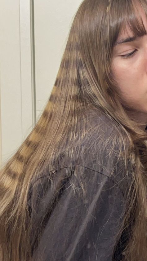 blonde raccoon tail hair - Google Search Raccoon Tail Hair Underneath, Blonde Raccoon Tail Hair, Raccoon Tails Hair, Raccoon Stripes Hair, Blonde Raccoon, Raccoon Tail Hair, Raccoon Hair, Raccoon Tail, Tail Hair