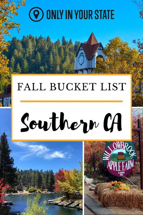 Explore the best fall destinations in Southern California, from lakeside spots to charming mountain Fall In Southern California, California Autumn, 30 Bucket List, Fall In California, Thanksgiving Getaways, Southern California Camping, Fall Destinations, Southern California Travel, California Fall