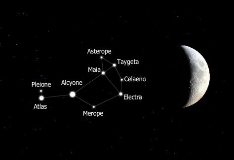 La leyenda de las Pléyades, las hermanas que escaparon al firmamento | Astronomía para Todos Libra Sign Tattoos, Sky Watching, Aquarius Constellation Tattoo, Taurus Constellation Tattoo, 7 Sisters, Aries Constellation Tattoo, Virgo Constellation Tattoo, Sagittarius Tattoo, Aries Constellation