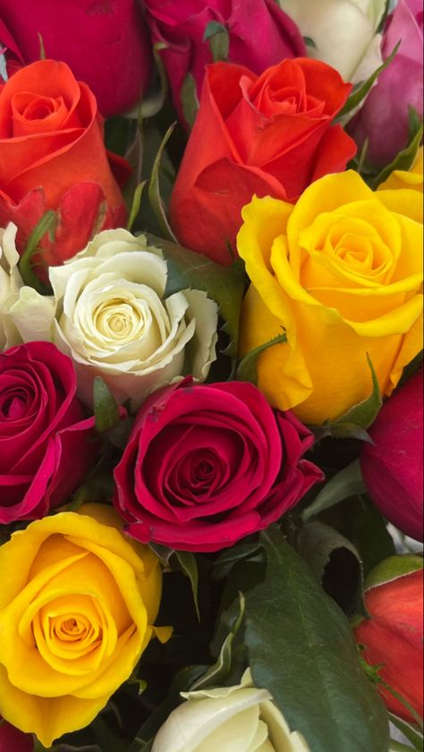 Red, yellow, orange, white and pink bouquet of roses White And Pink Bouquet, Bunch Of Roses, Yellow Bouquets, White And Pink Roses, Red And White Roses, Bouquet Of Roses, Red Pictures, Red Rose Bouquet, Jaune Orange