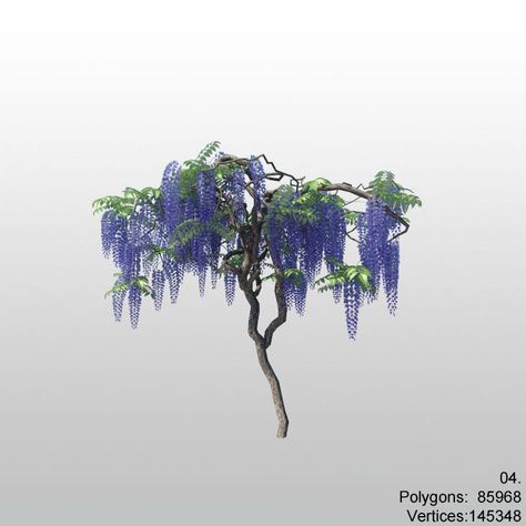 Wisteria 04 3D Model #AD ,#Wisteria#Model Wisteria Trees, Wisteria Tree, Texture Mapping, Aesthetic Template, Graphic Design Tips, Wisteria, Low Poly, Trees, Models