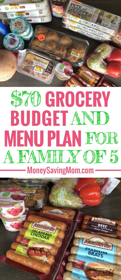 This $70 Grocery Budget for a family of 5 is SO inspiring! She even shares her menu plan each week! Budget Grocery Shopping, Cheap Meal Plans, Frugal Meal Planning, Aldi Meal Plan, Grocery Budget, Budget Meal Planning, Money Saving Mom, Family Meal Planning, Money Saving Meals