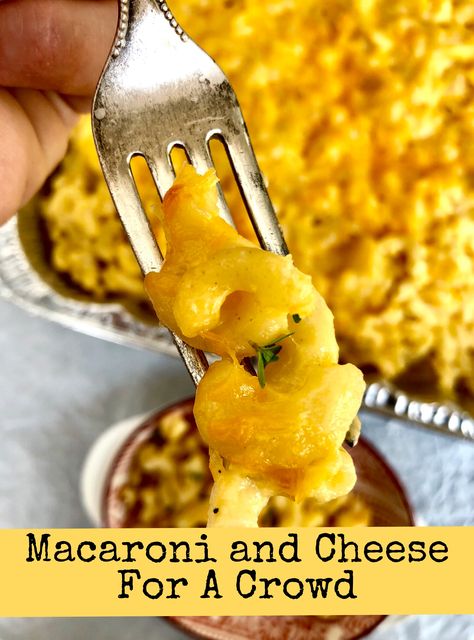 Macaroni and Cheese for a Crowd made from scratch tastes amazing, is popular on buffet tables and easy to make. Visit: www.itstartedwithtoast.com for the recipe. Macaroni And Cheese Recipe For A Crowd, Easy Mac And Cheese For A Crowd, Roaster Mac And Cheese For A Crowd, Best Mac And Cheese For A Crowd, Mac And Cheese For Large Crowd, Mac And Cheese For 50 People, Pasta For A Crowd Parties, Mac N Cheese For A Large Crowd, Mac And Cheese For A Crowd Parties