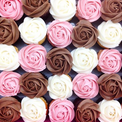 kelsey elizabeth cakes - Beautiful Neapolitan Rose Cupcakes! #kelseyelizabethcakes