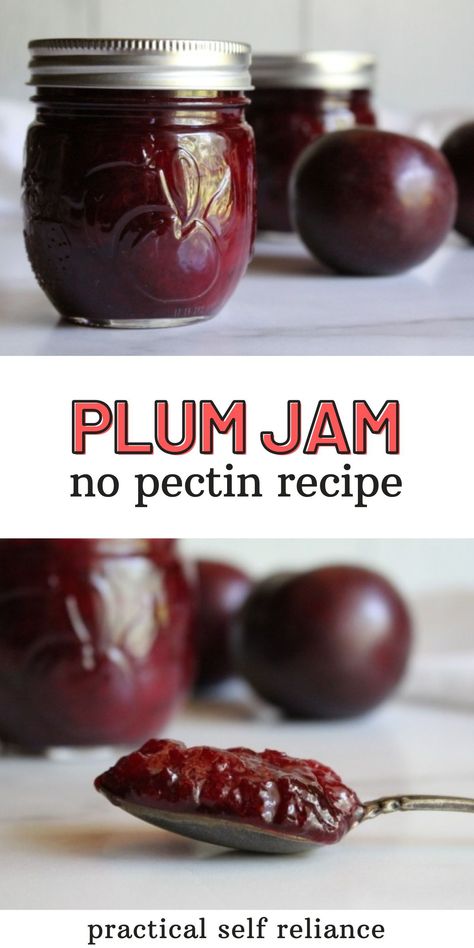 Plum Jam Without Pectin, Canning Cabbage, Homemade Jam Recipes, Canning Plums, Keto Jam, Freezer Jams, Plum Jam Recipe, Preserving Fruit, Jam Without Pectin