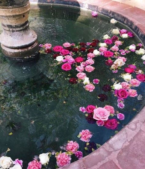 Pink flowers, water fountain, roses, special, ethereal Deco Floral, In Water, Palm Springs, Pretty Flowers, Pretty Pictures, Secret Garden, A Garden, Flower Power, Pink Flowers