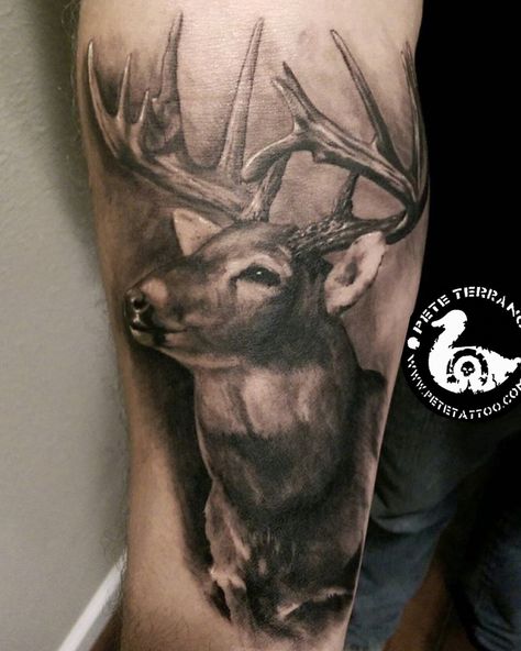 Black and gray deer tattoo Deer Tattoo Meaning, Head Tattoo Ideas, Bow Hunting Tattoos, Deer Hunting Tattoos, Buck Tattoo, Deer Head Tattoo, Deer Skull Tattoos, Deer Tattoo Designs, Stag Tattoo