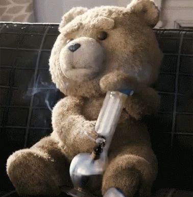 Ted Gif, Ted Movie, Ted Bear, Puff And Pass, Good Movies, Animated Gif, Cool Gifs, Just In Case, Seeds