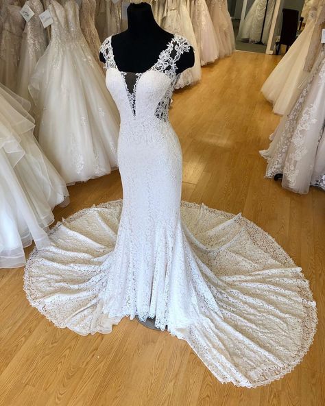 Curvy Dresses, Heart To Heart, Curvy Dress, Sheath Wedding Dress, Lace Wedding, Wedding Dresses Lace, Wedding Dress, Lace, Dresses