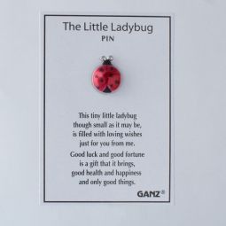 The Little Ladybug Pin Ladybug Gift Ideas, Ladybug Meaning, Ladybug Quotes, Ladybug Jewelry, Marinette Ladybug, Colored Trim, Lady Beetle, Ladybug Crafts, Ladybug Art