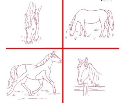 In case I ever need to draw a horse Horse Embroidery Designs, Redwork Embroidery Patterns, Draw A Horse, Redwork Patterns, Horse Embroidery, Beginner Embroidery, Nancy Zieman, Cottage Quilt, Cat Cuddle