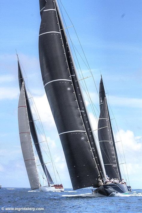 J Class Yacht, Sailing Regatta, Classic Sailing, Yacht Racing, Sail Racing, Sailing Vessel, Sail Boats, Americas Cup, Yacht Boat