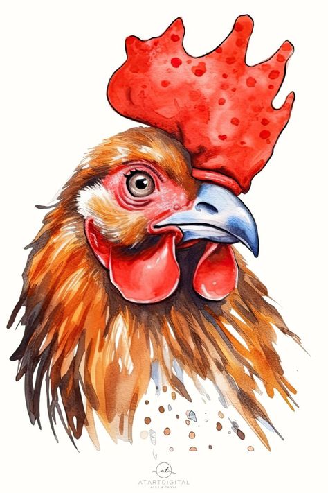 Rooster Clipart, Rooster Watercolor, Rooster Art Painting, Rooster Drawing, Rooster Artwork, Chicken Images, Chicken Drawing, Chicken Illustration, Chicken Pictures