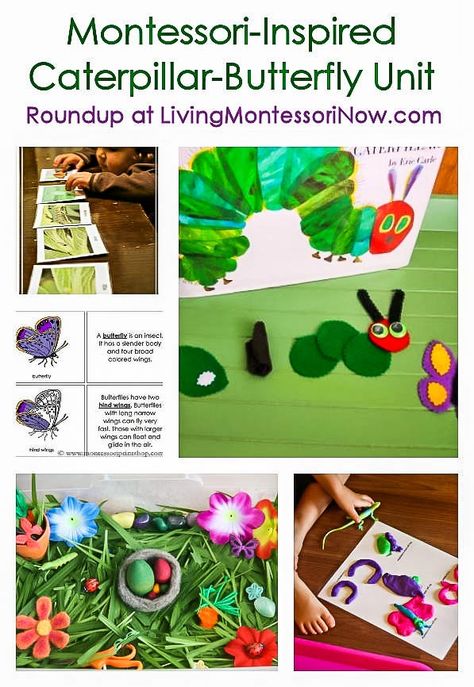 Montessori-Inspired Caterpillar-Butterfly Unit Free Butterfly Printables, Insect Unit Study, Butterfly Activities, Butterfly Lessons, Caterpillar Butterfly, Insect Unit, Insects Preschool, Montessori Science, Butterflies Activities