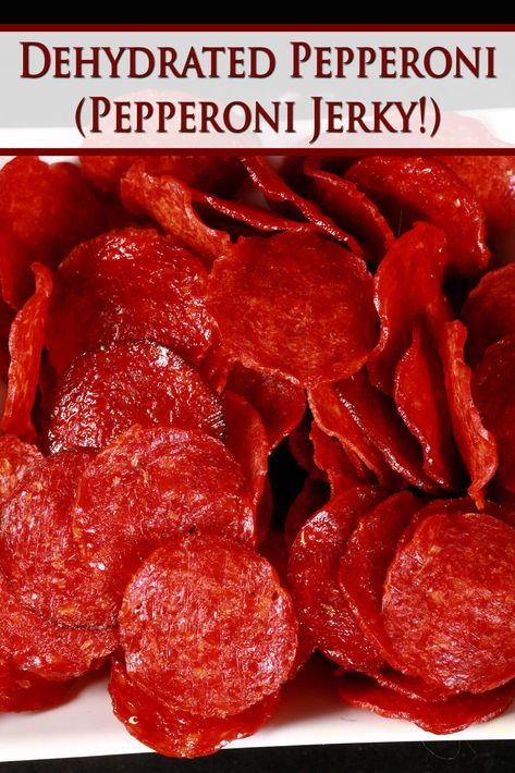 Easy Pepperoni Jerky [Dehydrated Pepperoni Slices] Pepperoni Jerky Recipe, Hamburger Jerky Recipe Dehydrator, Dehydrated Camping Food, Dehydrator Recipes Fruit, Jerkey Recipes, Best Food Dehydrator, Dehydrating Food Storage, Best Survival Food, Best Freeze Dried Food