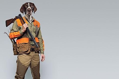 How to Hunt Upland Birds Without a Dog German Shorthaired Pointer Black, Upland Bird Hunting, Hunter Dog, Deer Hunting Tips, Upland Hunting, German Shorthaired Pointer Dog, Pointer Puppies, Hunting Life, Pheasant Hunting