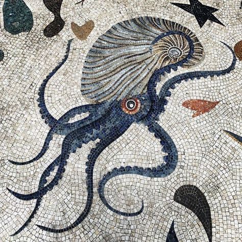 Roman Mosaic Floor, Roman Mosaics, Roman Mosaic, Mosaic Tile Art, Mosaic Murals, Mosaic Floor, Pebble Mosaic, Mosaic Design, Mosaic Projects