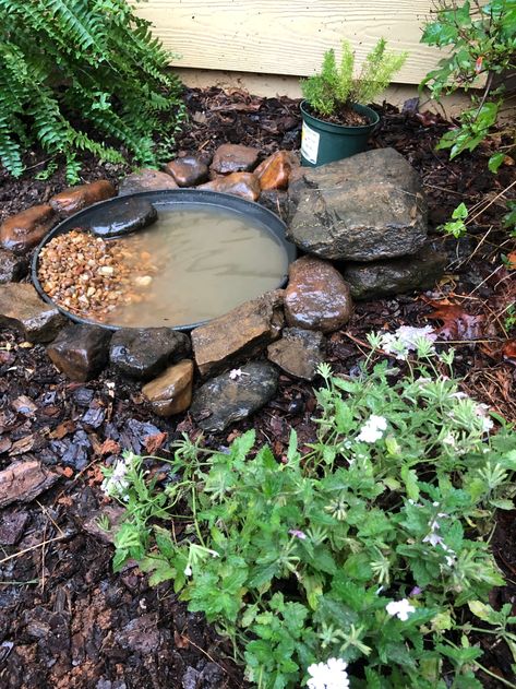 Toad Pond, Toad House, Herbs Growing, Habitat Garden, Garden Frogs, Small Pond, Grow Food, Bee Garden, Wildlife Gardening