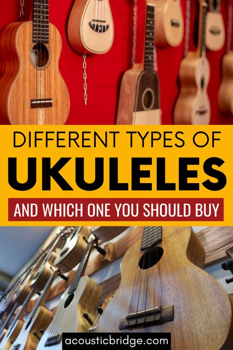 Are you looking for a Ukulele but don't what kind to get? Check out this guide to the different types of ukuleles and advice on which kind is right for you. Types Of Ukulele, Ukulele Sizes, Tenor Ukulele, Ukulele Chords, Local Music, Ukelele, Types Of Music, Learn Guitar, Guitar Player