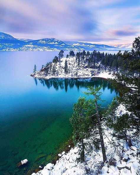 Ellison Provincial Park reveals its winter palette.  taken in @vernontourism by @sndon. #exploreBC #exploreCanada #exploreVernon #BCParks Vernon Bc, Winter Palette, Okanagan Valley, Beautiful Scenery Pictures, Explore Canada, Bc Canada, Feb 7, British Columbia, Places To Travel