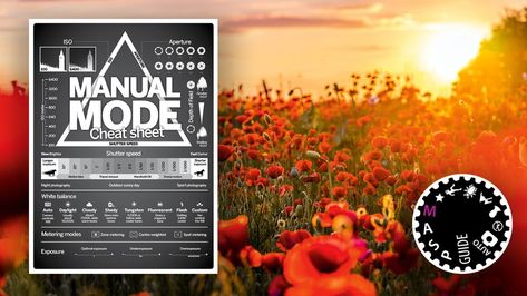 Photography cheat sheet: how to use manual exposure mode | Digital Camera World Best Cameras For Photography, White Balance Photography, Cameras For Photography, Photography Cheat Sheet, Best Camera For Photography, Best Cameras, Photography Cheat Sheets, Camera World, Exposure Compensation