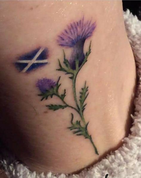 Thistle Flower Tattoo, Scottish Thistle Art, Scotland Tattoo, Scottish Thistle Tattoo, Scottish Tattoo, Scottish Tattoos, Thistle Tattoo, Thistles Art, Flag Tattoo