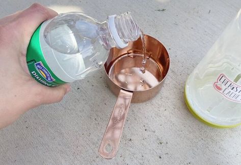 Today, we are sharing a GREAT homemade spider repellent spray!Since we started Chemistry Cachet in 2015 (nine years ago now), we have shared many successful bug remedies with you.All of these recipes are very quick to make and have great reviews from all of our readers too.You can make DIY ant spray, DIY roach spray, DIY fly repellent for porches, and DIY fly repelling spray. Each one is slightly different depending on the type of bug we want to kill or repel. Head to our blog post for… Roach Spray Diy, Spider Repellent Diy, Diy Fly Repellent, Diy Natural Spider Repellant, Spiders Repellent Diy, Diy Bug Repellent Spray, Diy Ant Spray Indoor, Diy With Essential Oils, Diy Flies Repellent