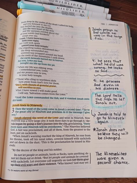 Jonah Bible Journaling, Jonah Bible Study, Jonah Bible, Bible Journal Notebooks, Bible Studying, Living Hope, Bible Journals, Inspire Bible, Learn The Bible