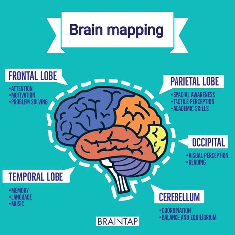 Brain Map, 21st Century Teaching, Brain Mapping, Brain Facts, Brain Art, Brain Tricks, Aptitude Test, Brain Exercise, Human Resource